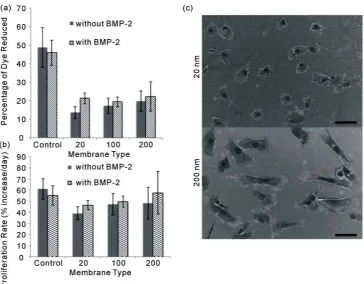 Figure 1. (a) Cell Proliferation: Cell proliferation was analyzed at 7 days, using Alamar Blue