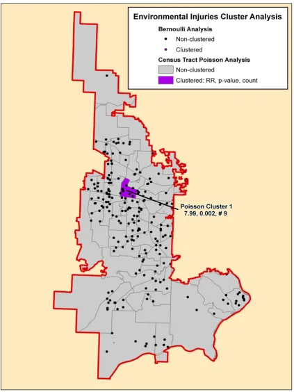 Figure 8Environmental injuries cluster analysisEnvironmental injuries cluster analysis