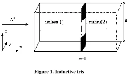 Figure 1. Inductive iris 