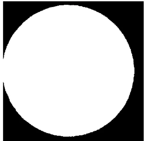 Fig. 1: The image after binarization  As can be seen from Fig. 1, the periphery of the 