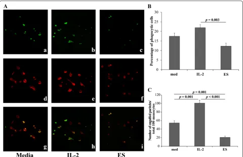 Fig. 4 G. spinigerum ESA modulated phagocytic capacity of monocytes. Monocyte-enriched adherent cells from PBMC cultured in medium alone,plus IL-2 (10 ng/ml) or ES (0.1 μg/ml) for 12 h were incubated with zymosan (ZM)