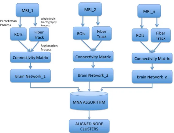 Figure 1. Building a representative network from experimental data: example of a workﬂow