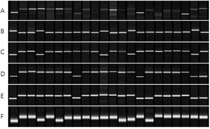 Figure 3. Relationship between 20 selected CNDH lines and QTLs in the parent genotype