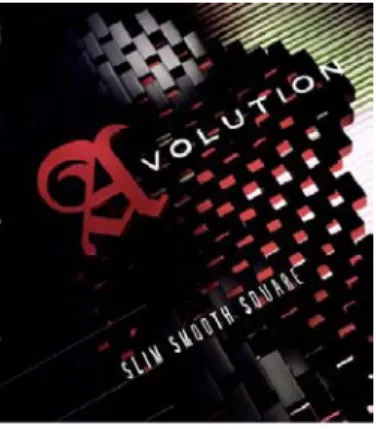 Figure 4. Avolution “Slim Smooth Square” campaign print advertising   (Source: McCann Competitive Review Database) 