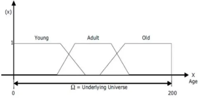 Figure 1. Three linguistic labels of Example 2.1 