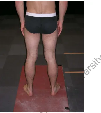 Figure 1: Participant position during bipedal stance condition