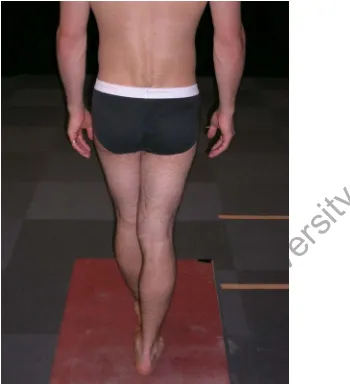 Figure 2: Participant position during tandem stance condition