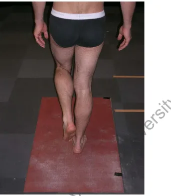 Figure 3: Participant position during unipedal stance condition