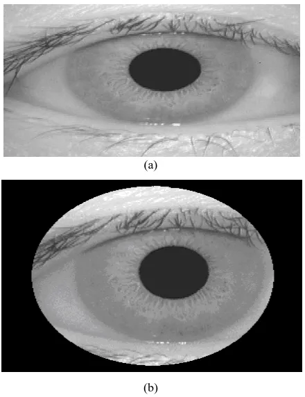 Figure 1. Formation of random circular contour around the iris (a) original eye in CASIA database (01_1_2.bmp), 