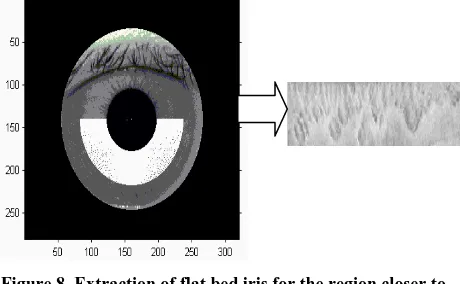 Figure 8. Extraction of flat bed iris for the region closer to the pupil. 