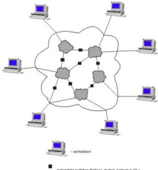Figure 5. Internet as network of connected networks. 