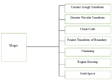 Figure 2: Techniques of shape extraction 