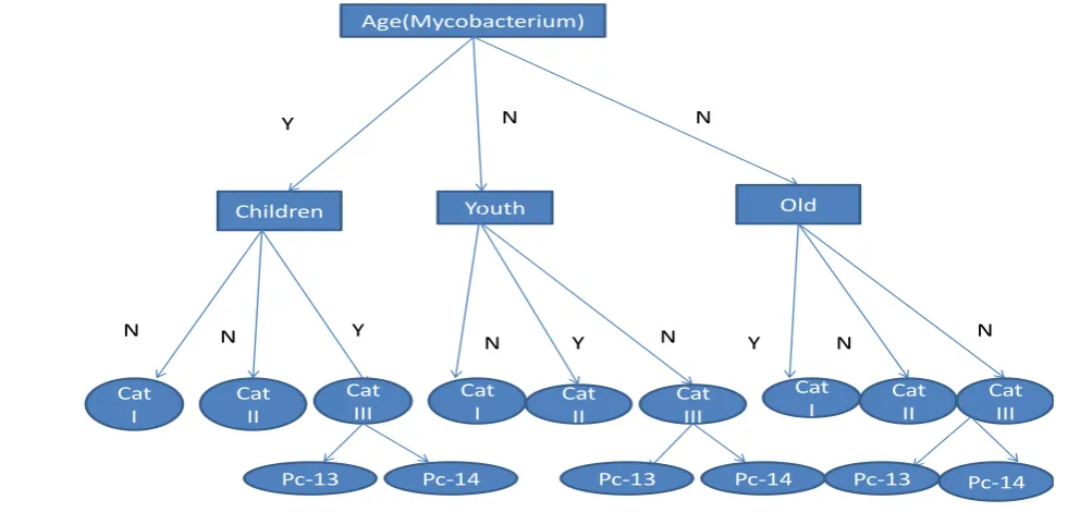 Fig 1: Classification Tree for Tuberculosis Patient 
