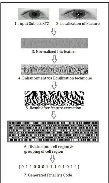 Fig 4: The different phases for iris recognition 
