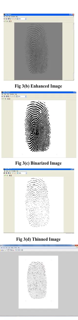 Fig 3(b) Enhanced Image 