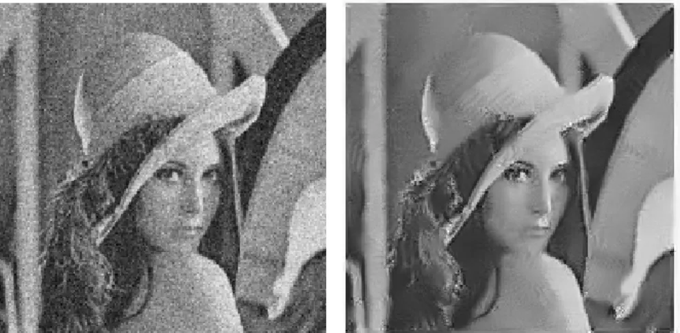 Figure 1.2 – Illustration of an image denoising: left is the input noisy image, right is the denoised image.