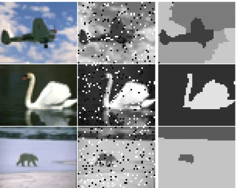 Figure 3.4 – Denoising results of Method 3. From first to third column: the input images of size 40 × 50, with 10% salt and pepper noise, denoised image using Method 3