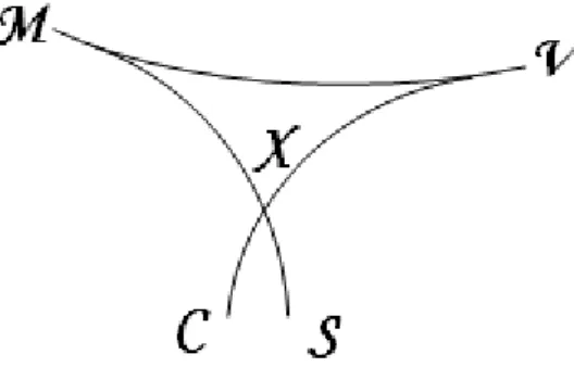 Fig. 2 : Modèle MVX utilisé par G-Brackets 