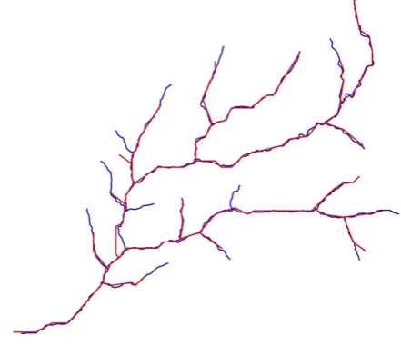 Figure 1. Two polyline representations of the same stream network with the reference network shown in blue and the derived stream network shown in red