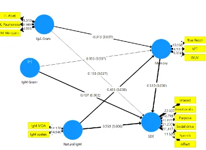 Figure 2.  Results of PLS path modelling with a latent vector (LV) extracted from the 6 SDS 