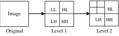 Fig 1: Watermark embedding in DCT 
