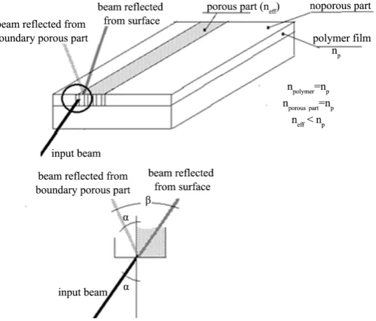 Figure 3. Path of the rays in the reflection from the interface.                
