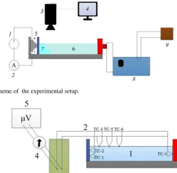 Fig. 1. The scheme of  the experimental setup. 