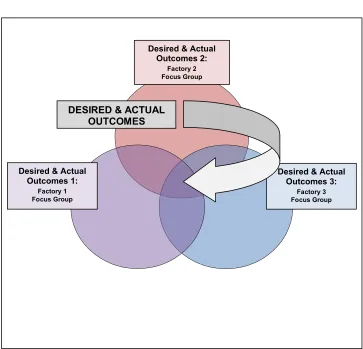 FIGURE 3.1DETERMINING NEEDS MODEL