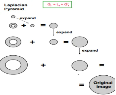 Fig 4: Gaussian versus laplacian 