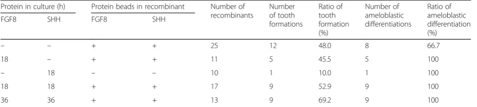 Table 1 Success ratio of tooth formation and ameloblastic differentiation in tissue recombinants
