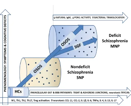 Figure 5. The bifactorial factor model, deficit and nondeficit schizophrenia. 