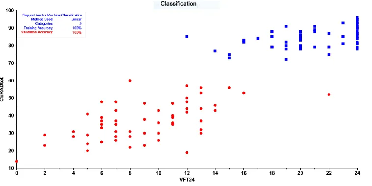 Figure 5.  Results of Support Vector Machine with all CERAD tests as input variables.  