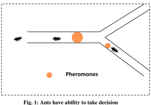 Fig. 1: Ants have ability to take decision 