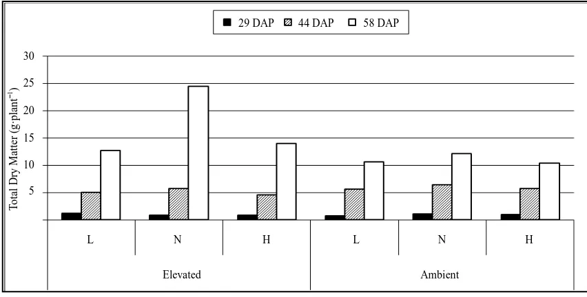 Figure 4. Total dry matter production (g·plant) of soybean under elevated & ambient (COlevels (L: Low:,N: Normal & H: High) at 29, 44, and 58 DAP