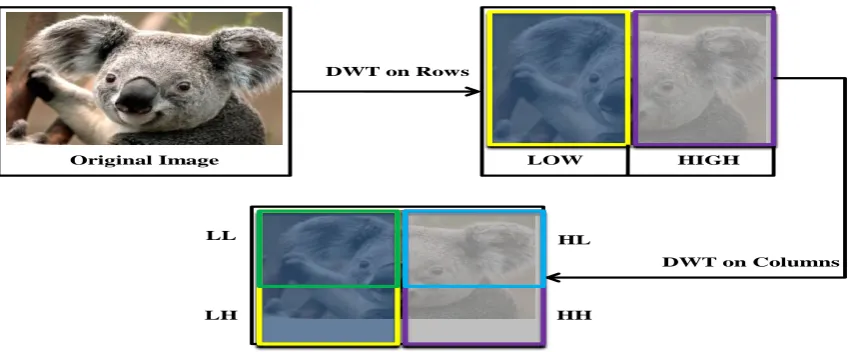 Fig 1: DWT transform of host image 