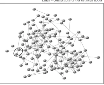 Figure 1:   A  Hypothetical  Example  of  a  Network  Graph  based  on  Connections  between Network Actors (Nodes)