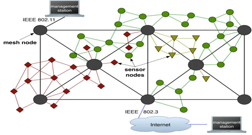 Fig 1.Heterogeneous wireless sensor network architecture.[4] 