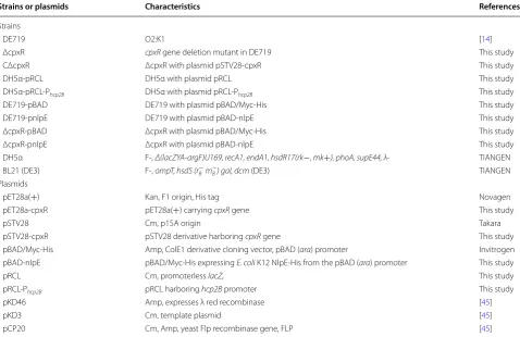 Table 1 Bacterial strains and plasmids used in this study 