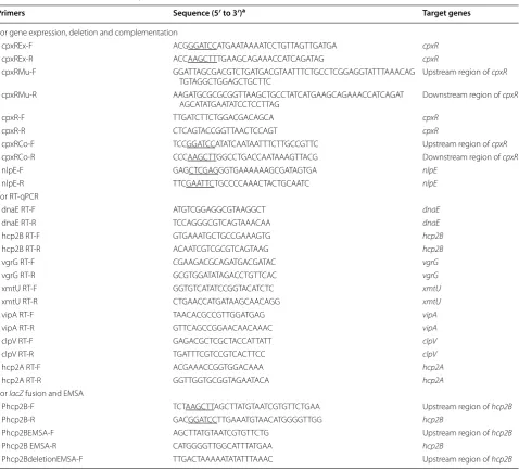 Table 2 Primers used in this study 