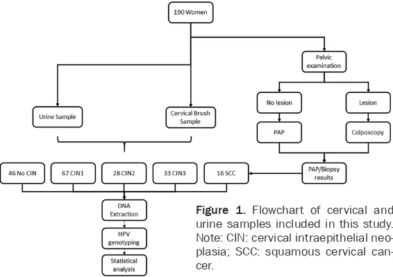 Figure 1. Flowchart of cervical and urine samples included in this study. 