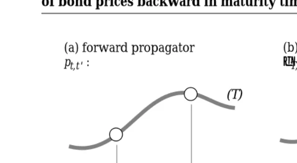 FIGURE 2. Forward propagator describes the evolution of bond pricesforward in physical time