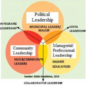 Figure 1 Local Leadership Perspective 