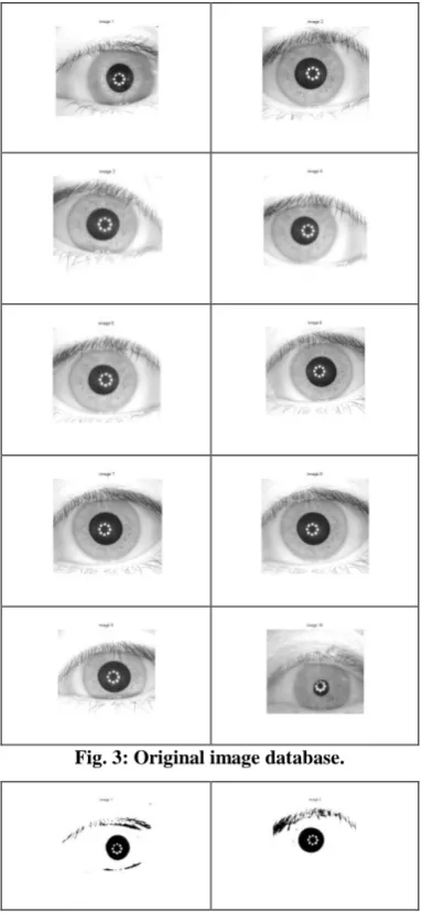 Fig. 3: Original image database. 