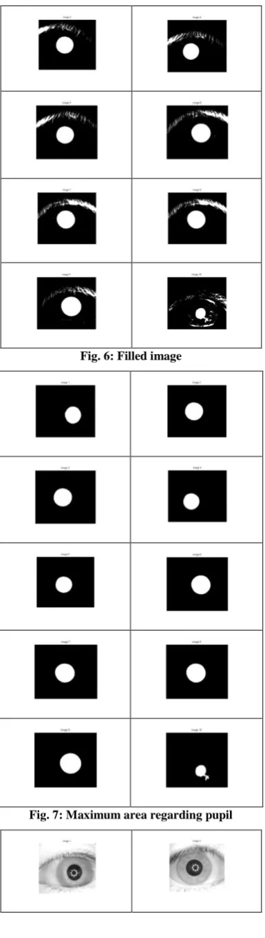 Fig. 6: Filled image 