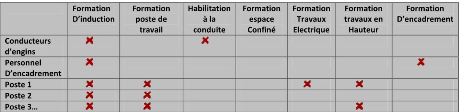 Tableau 1 : exemple de matrice de formation Formation