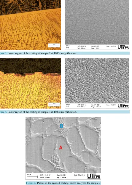 Figure 5. Phases of the applied coating, micro analyzed for sample 3 at 3500× magnification