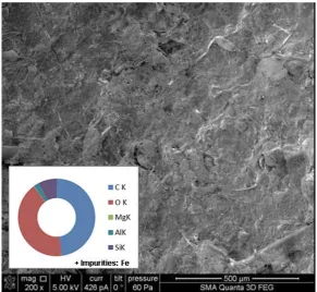 Figure 4. Concentrations of the rare earth elements in the phytoplankton from the 3 stations (log scaling)