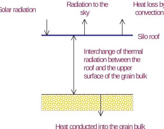 Figure 3.  A representation of heat flows on a silo roof and the upper surface of a bulk 