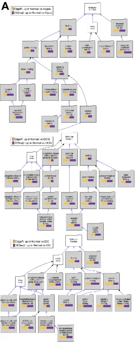 Figure 10. Overrepresented Gene Ontology terms among genes upregulated in normal samples comparing to cancer stages