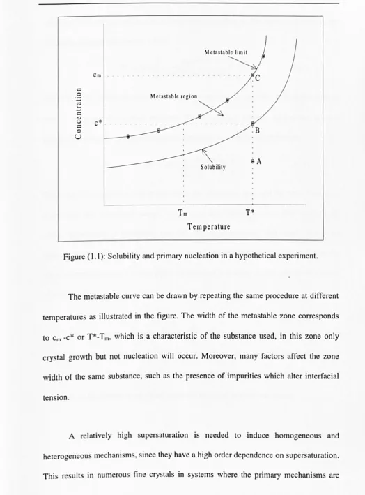 Figure (1.1): Solubility and primary nucleation in a hypothetical experiment. 